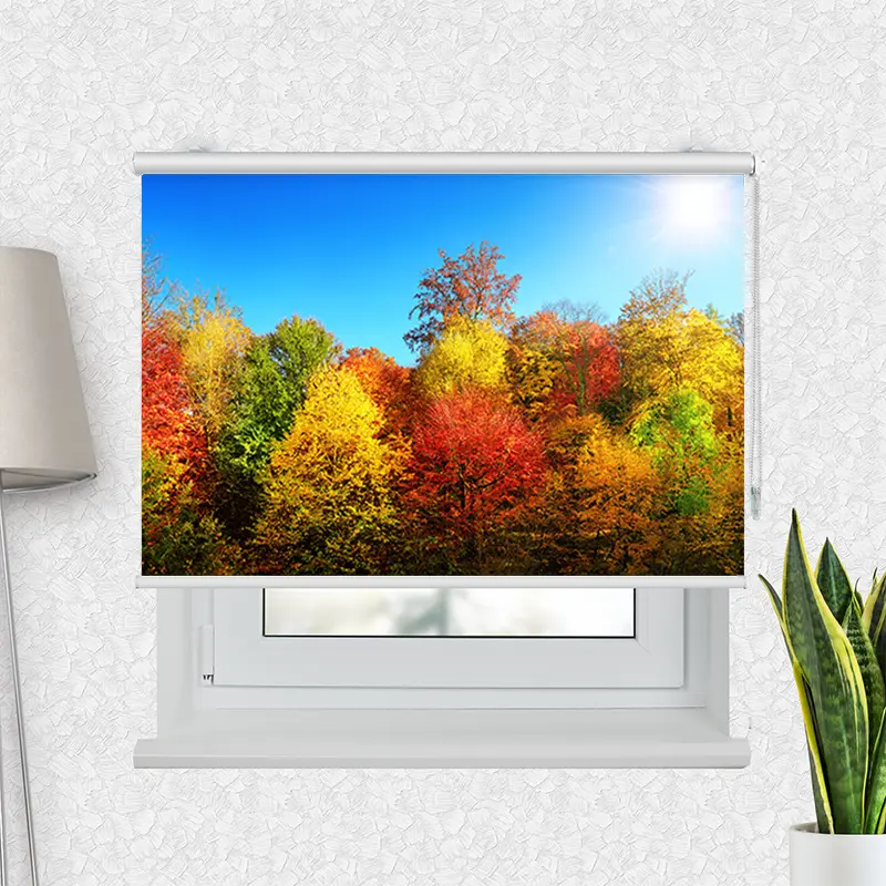 Motivrollo "Bunter Herbstwald" | Bis B 430 x H 440 cm