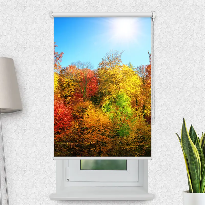 Motivrollo "Bunter Herbstwald" | Bis B 430 x H 440 cm