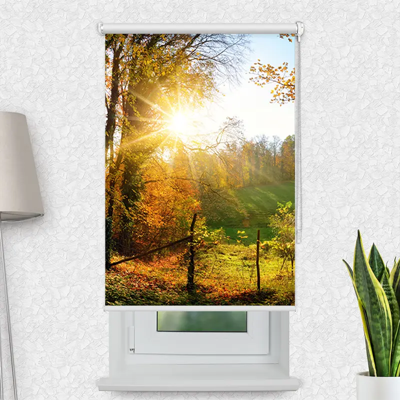 Motivrollo "Herbstlandschlaft" | Bis B 430 x H 440 cm
