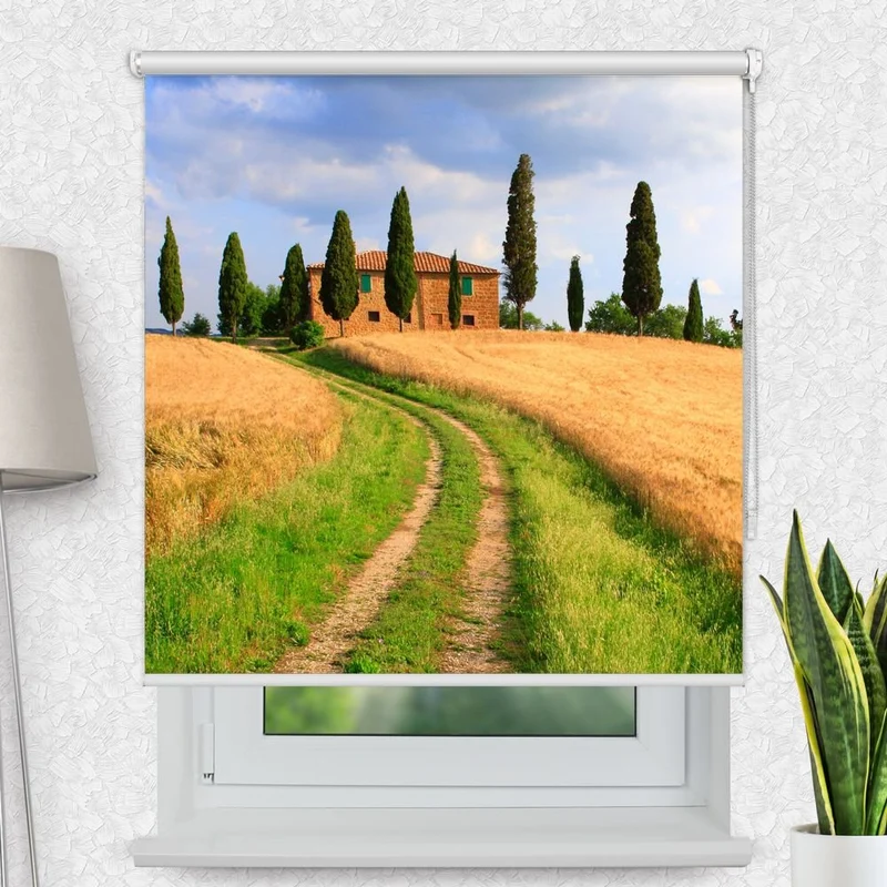 Motivrollo 'Tosakana Feld Weg' | Bis B 430 x H 440 cm