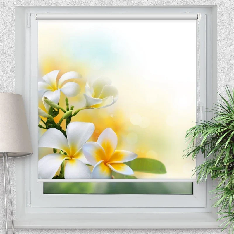Klemmfix Rollo "Frangipani" | Motiv-Klemmrollo