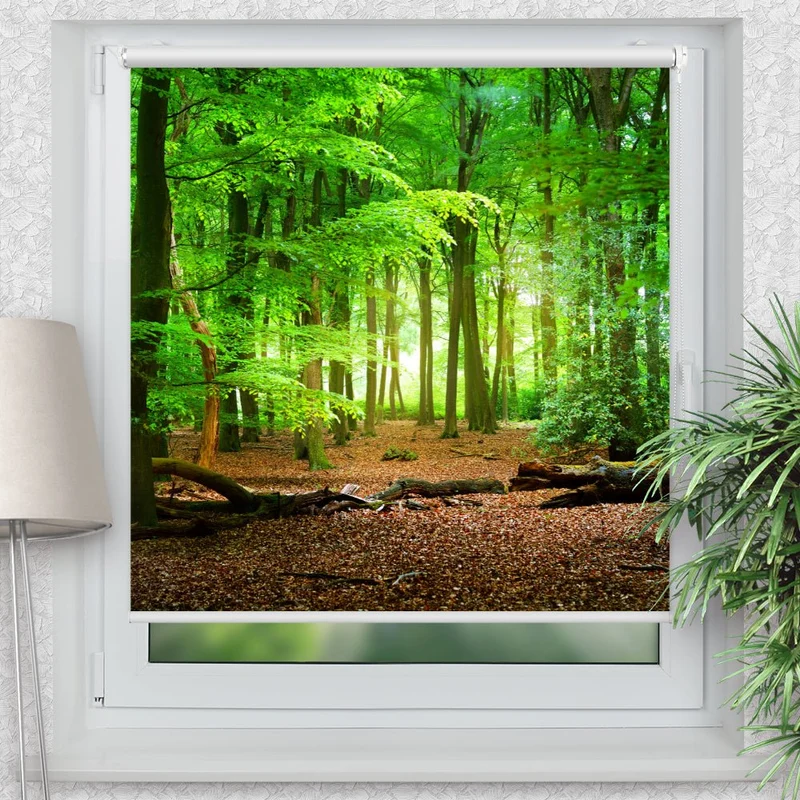 Klemmfix Rollo "Wald Weg Eichen Laubwald Laub" | Motiv-Klemmrollo