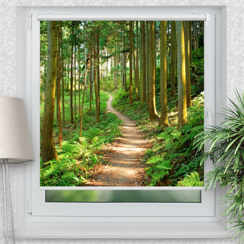 Klemmfix Rollo "Waldweg Fruehling Wald Pfadwaldweg Pfad" | Motiv-Klemmrollo