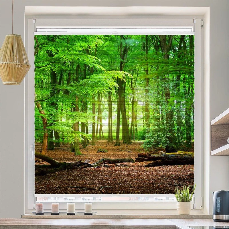Wabenplissee Motiv "Wald Weg Eichen Laub"
