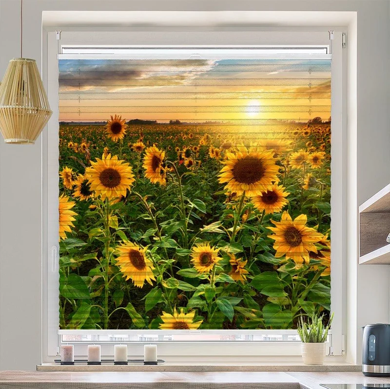 Wabenplissee Motiv "Sonnenblumen Sonnenuntergang Feld"