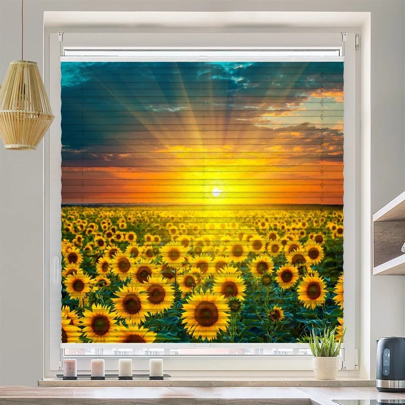 Plissee Motiv "Sonnenblumen Feld"