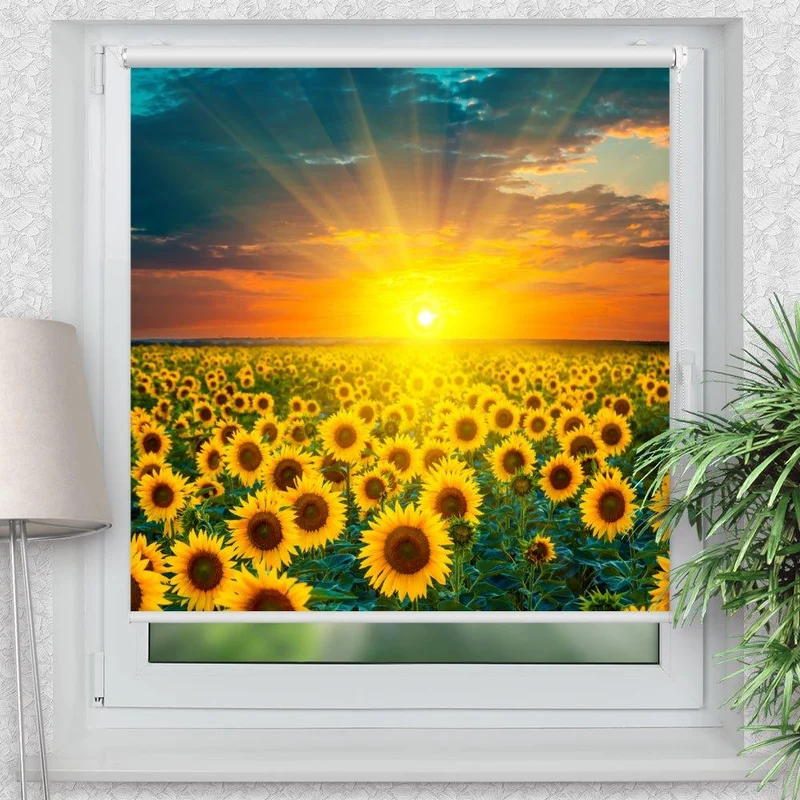 Klemmfix Rollo "Sonnenblumen Feld" | Motiv-Klemmrollo