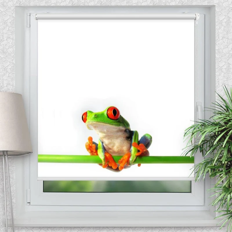 Klemmfix Rollo "Frosch" | Motiv-Klemmrollo