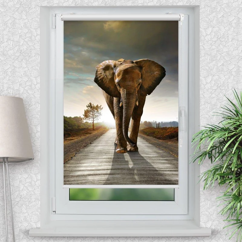 Klemmfix Rollo "Elefant Afrika Weg" | Motiv-Klemmrollo