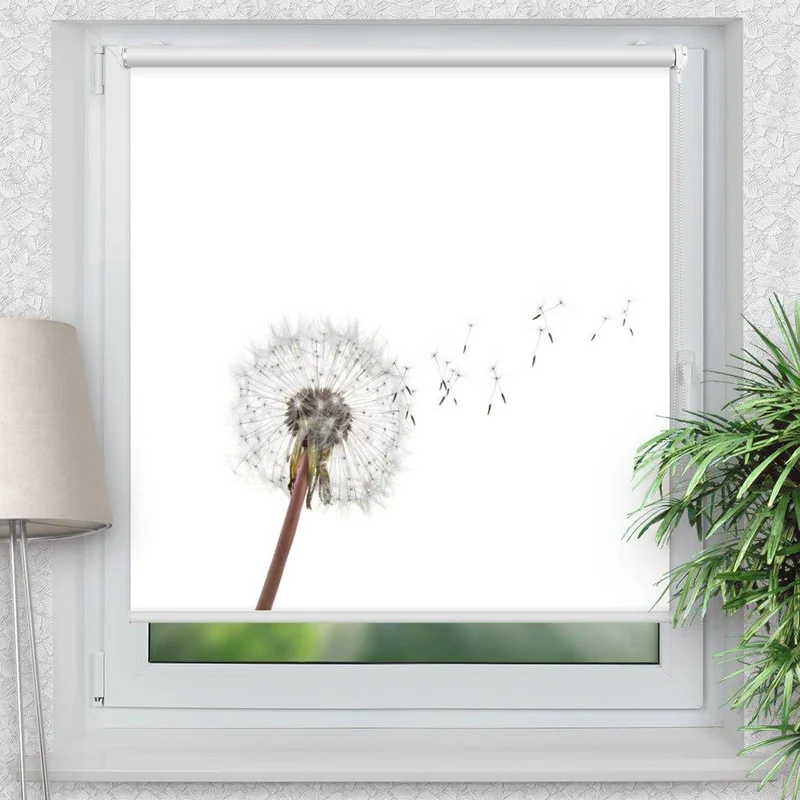 Klemmfix Rollo "Pusteblume Samen" | Motiv-Klemmrollo