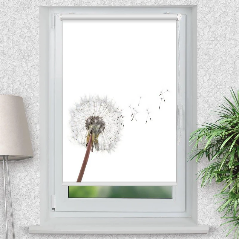 Klemmfix Rollo "Pusteblume Samen" | Motiv-Klemmrollo