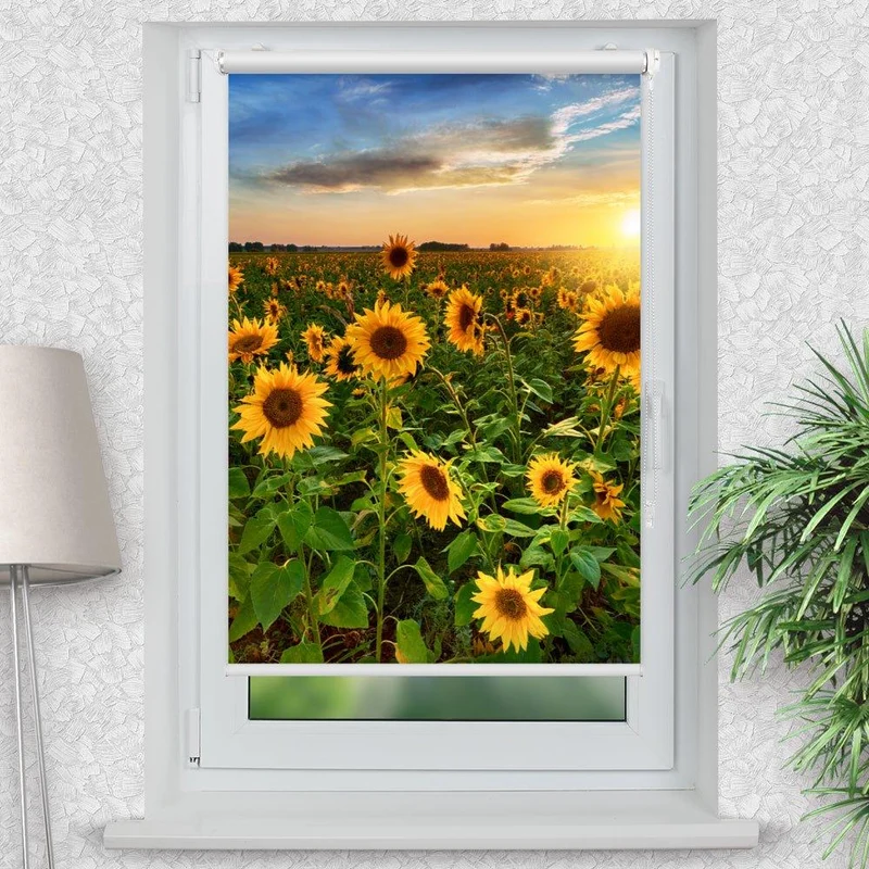 Klemmfix Rollo "Sonnenblumen Sonnenuntergang" | Motiv-Klemmrollo